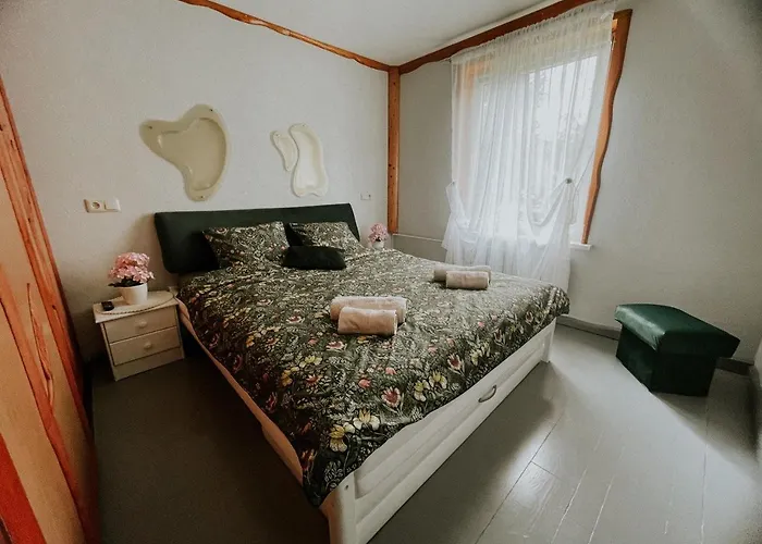Family Or Group Apartment In Talsi Center